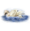 Acellu