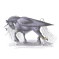 Antartica Poussière