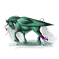 Antartica Verte