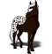 Appalootin