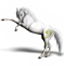 Attillatezza