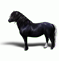 Black Lotta