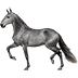 Campolina Gris