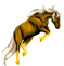 Carako