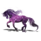 Constellation