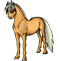 Palomino