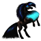 Paradisier RJ