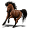 Poney Caspien