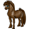 Poney Flocon