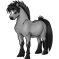 Poney Souris