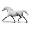 Trotteur Orlov